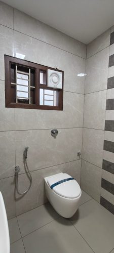 Toilet-1